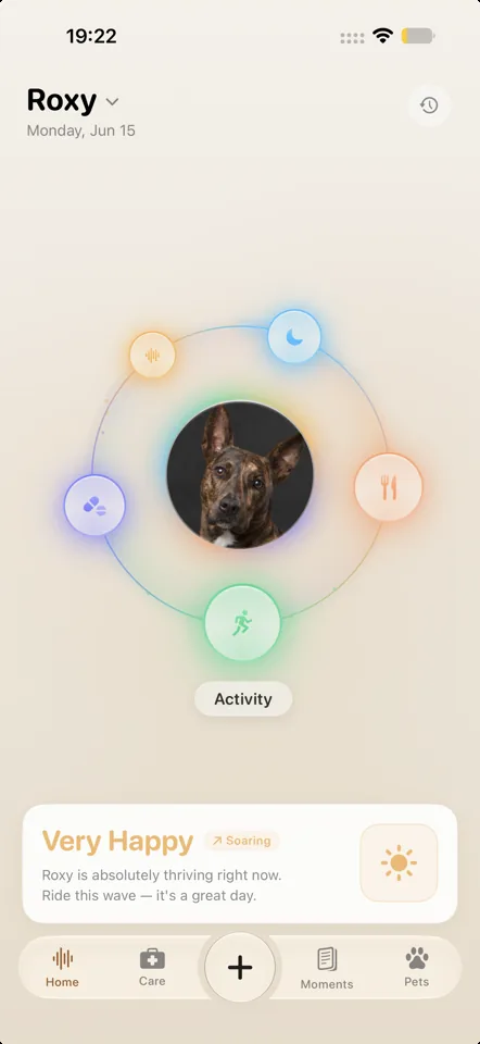Velpo Home screen showing a pet's care orbit, with State at the centre and six care nodes around it